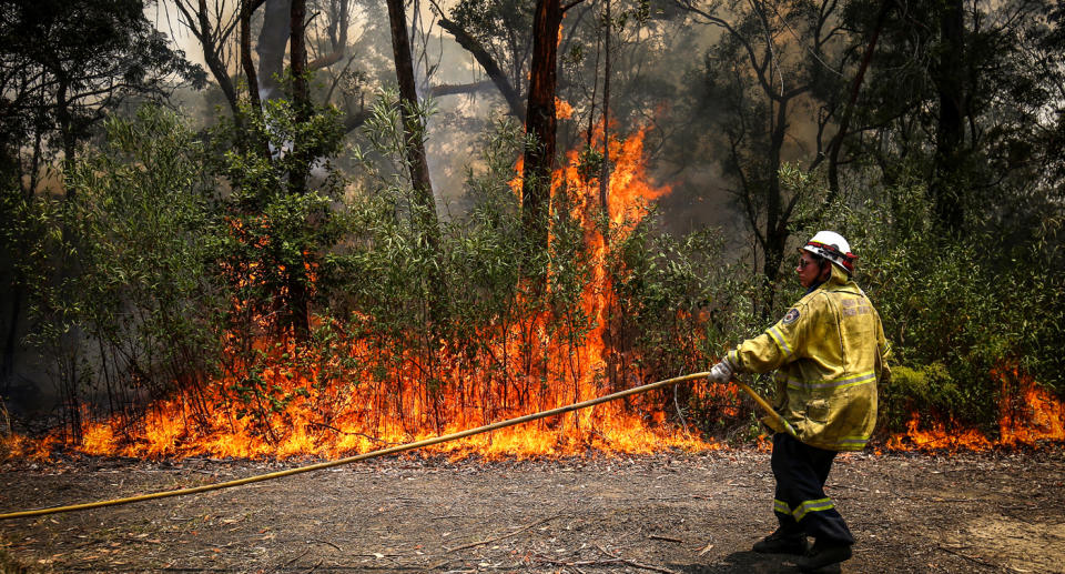 The fire service was conducting a routine hazard reduction when it encountered the alarming sight. Source: Getty Images