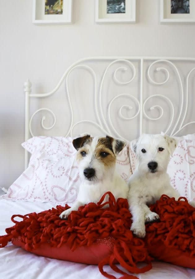 They stay at dog-friendly luxury hotels. Photo: Instagram/max_et_louise