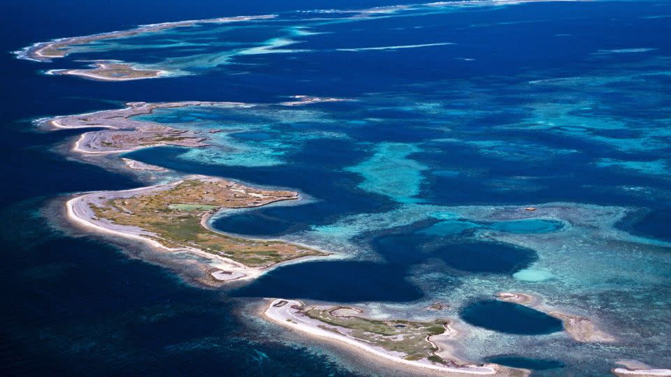 The biodiverse Abrolhos Islands are home to sea lions, dolphins, wallabies, lizards and more. - Bill Bachman/Alamy