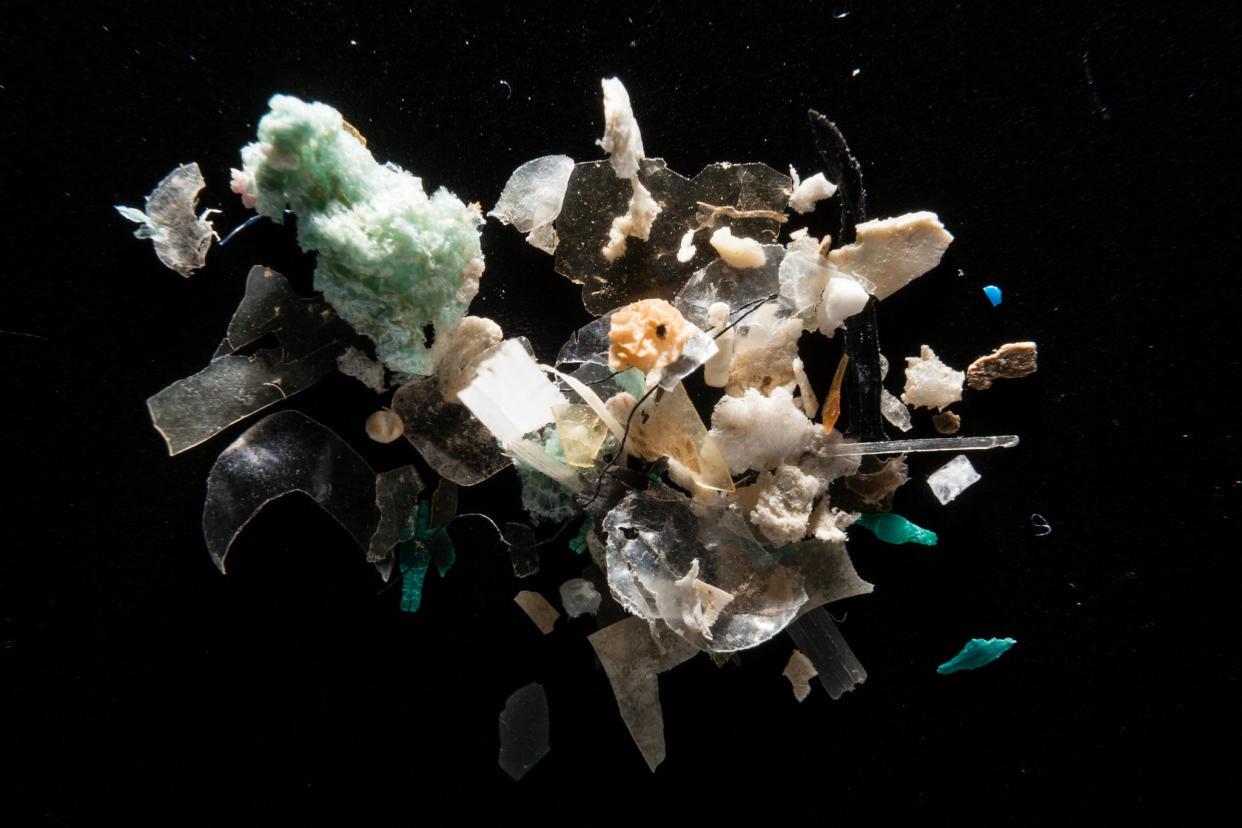 Microplastics found in the Corsica River in Maryland. Chesapeake Bay Program via Flickr