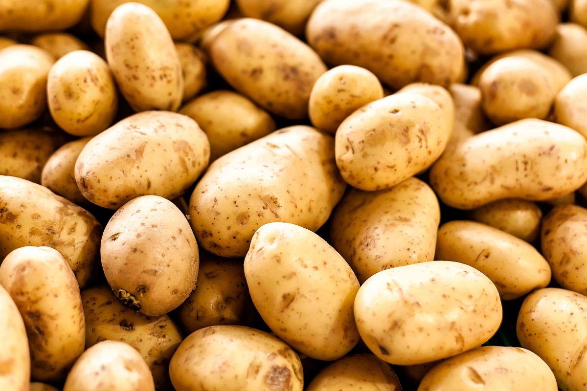Re/actions: Potatoes Are the Future of Social Media - Vox