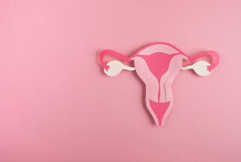   <span class="attribution"><a class="link " href="https://www.shutterstock.com/image-photo/decorative-model-uterus-made-frome-paper-2123543837" rel="nofollow noopener" target="_blank" data-ylk="slk:Helena Nechaeva/Shutterstock;elm:context_link;itc:0;sec:content-canvas">Helena Nechaeva/Shutterstock</a></span>