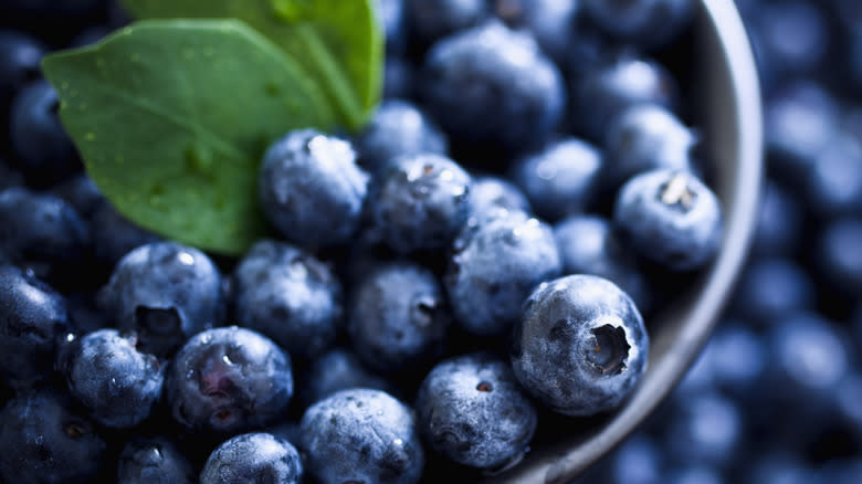 fresh blueberries with leaves