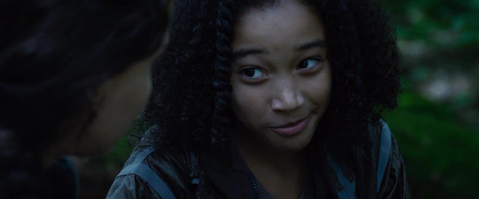 close up of Amandla