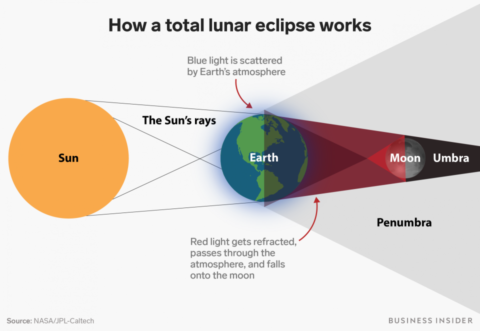 how total lunar eclipse works blood moon umbra penumbra earth shadow refraction diagram physics nasa shayanne gal business insider graphics