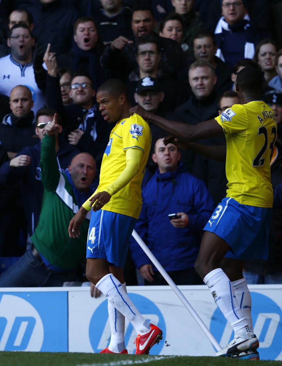 Newcastle United's Loic Remy (L) celebrates his goal against Tottenham Hotspur with Shola Ameobi during their English Premier League soccer match at White Hart Lane in London November 10, 2013.