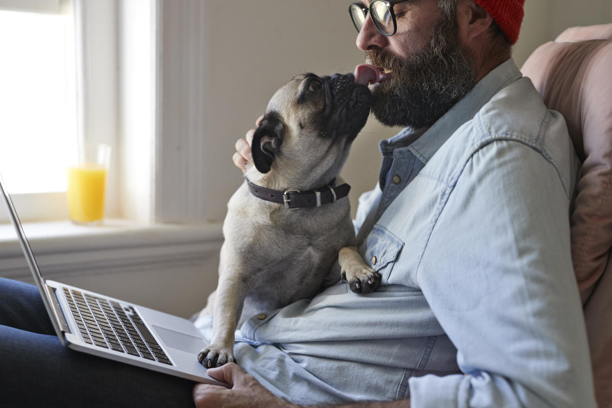 Dirtier than. Программа про ветеринаров американская. How to save an animal from a stress.