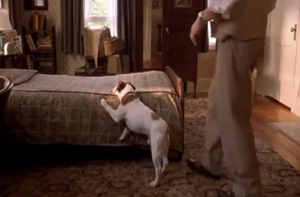 Screenshot from "My Dog Skip"