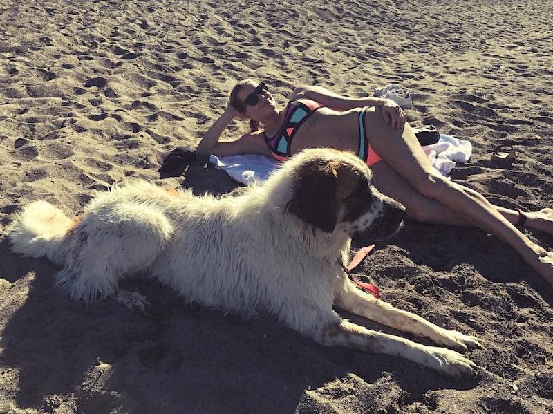 <p>Rebecca Romijn looked tiny in comparison to her pup while hanging at the beach. (Photo: <a rel="nofollow noopener" href="https://www.instagram.com/p/BW3xJ8jArIE/?taken-by=rebeccaromijn" target="_blank" data-ylk="slk:Rebecca Romijn via Instagram;elm:context_link;itc:0;sec:content-canvas" class="link ">Rebecca Romijn via Instagram</a>)<br><br></p>