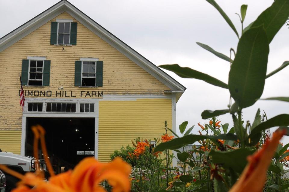 Dimond Hill Farm has been a fixture in Concord for generations.