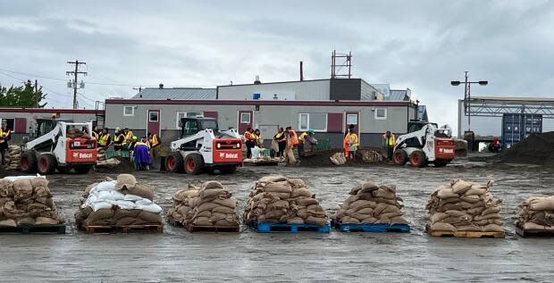 Mike Rudyk/CBC