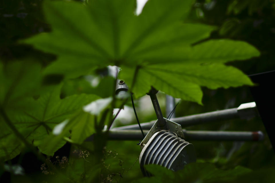 En esta imagen, tomada el 13 de febrero de 2019, se muestra un aparato electrónico en un terreno calentado artificialmente como parte de un experimento en la selva tropical de El Yunque, en Río Grande, Puerto Rico. El proyecto de tres millones de dólares, financiado en parte por el Departamento de Energía estadounidense, está en su cuarto año. Los científicos hicieron una pausa de un año luego de que el huracán María barrió Puerto Rico el 20 de septiembre de 2017, para poder separar los efectos del calentamiento de los del meteoro. (AP Foto/Carlos Giusti)