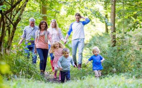 Family forest - Credit: Getty