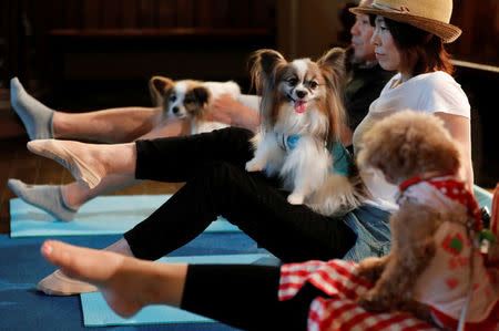 Pet owners attend a pet yoga session at the Pet Rainbow Festa, a pet funeral expo targeting an aging pet population, in Tokyo, Japan September 18, 2017. REUTERS/Kim Kyung-Hoon