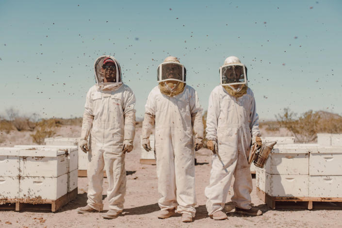 Alfredo, Ubaldo, and Jose tend beehives near Wenden in the Arizona desert, USA, 11 March 2022