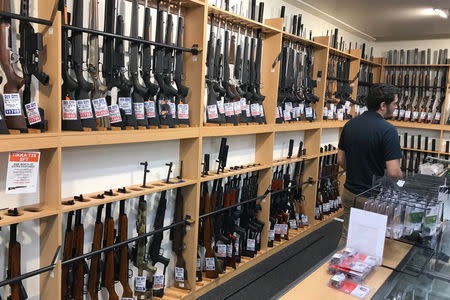 Firearms and accessories are displayed at Gun City gunshop in Christchurch, New Zealand, March 19, 2019. REUTERS/Jorge Silva