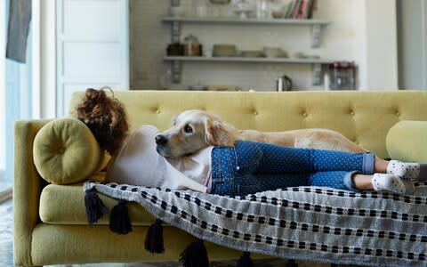 Girl sleeping on couch with her Golden Retriever dog - Credit: Getty Images