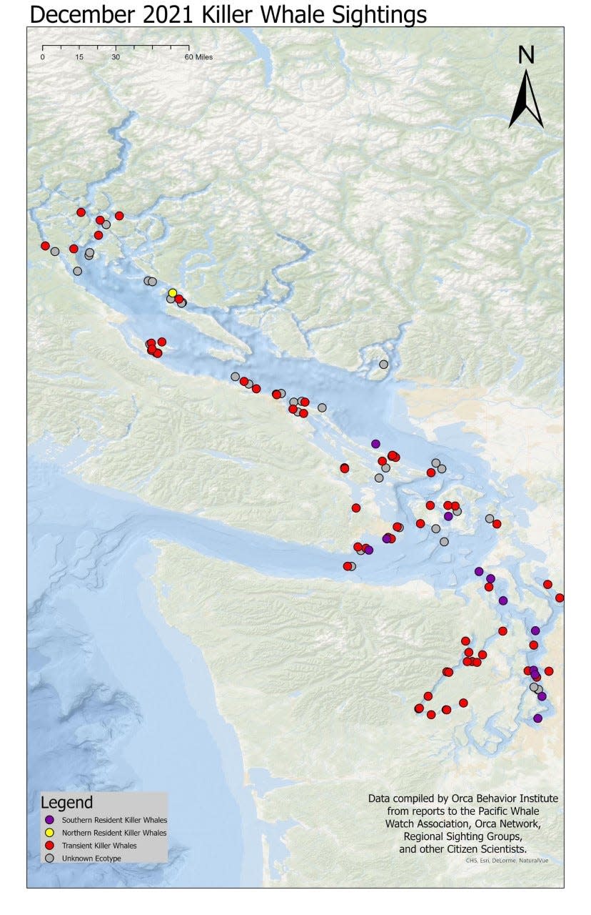 December 2021 sightings of orcas in the Salish Sea area.