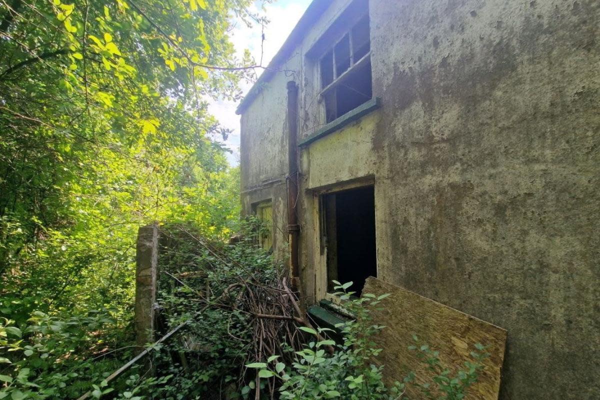 The former tin miners' cottages are situated in an overgrown location near the South Wales village of Machen, only accessible by foot. <i>(Image: SWNS)</i>