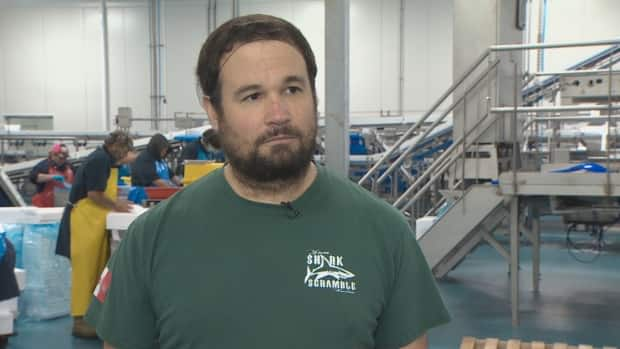 Scotia Harvest president and part owner Alain d'Entremont says he's been working in fish plants since he was 11 and this is his time to build a better one. (Paul Poirier/CBC - image credit)