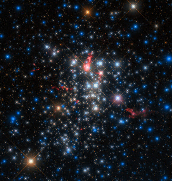 Westerlund-1, one of the most massive star clusters in the Milky Way. ALMA observations (red), superposed on a Hubble image, indicate several of the stars are enshrouded in warm dust. Credit: ESO/D. Fenech et al.; ALMA (ESO/NAOJ/NRAO)