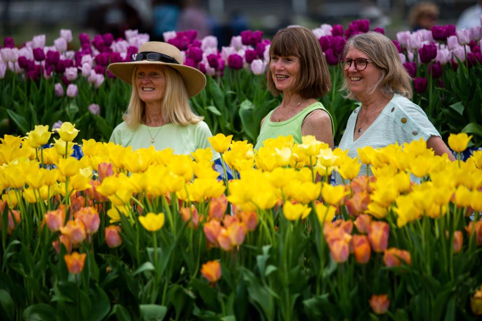 Guests explore the Tulip Immersion Garden on Wednesday, May 11, 2022, at the Ottawa County Fairgrounds.