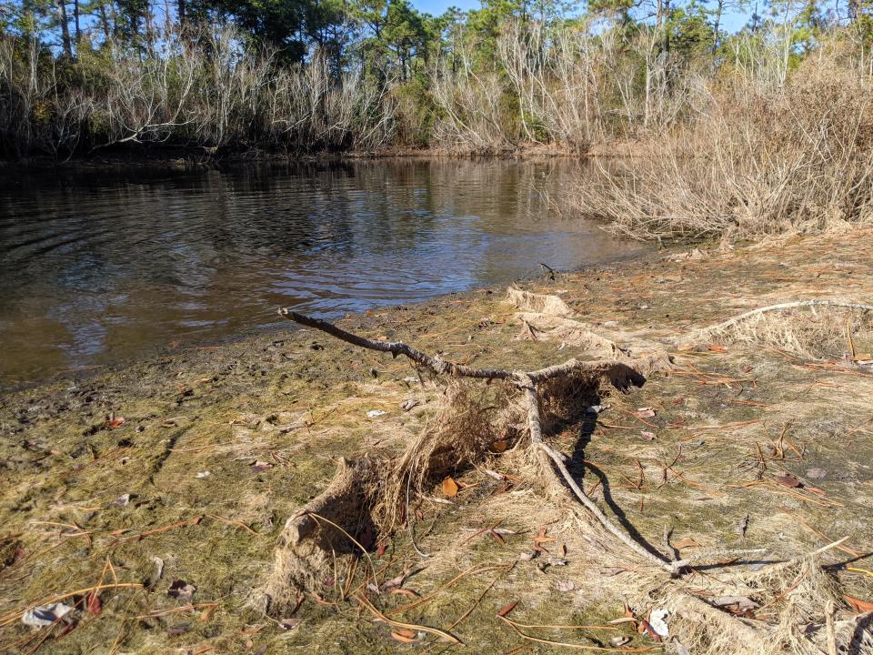 The exposed shoreline of a pond at Ogden Park outside of Wilmington.