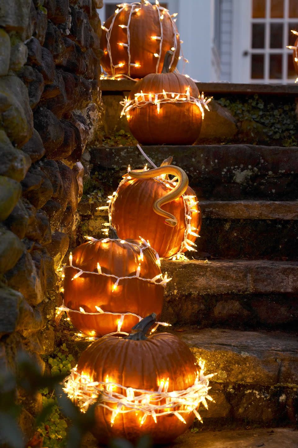 <p>Set your stoop ablaze by stringing white outdoor holiday lights around regular pumpkins. It's a simple way to set a spooky mood — and illuminate your walkway!</p><p><a class="link " href="https://www.amazon.com/Prextex-Christmas-Clear-White-Decorations/dp/B075MNL1RW?tag=syn-yahoo-20&ascsubtag=%5Bartid%7C10070.g.331%5Bsrc%7Cyahoo-us" rel="nofollow noopener" target="_blank" data-ylk="slk:SHOP HOLIDAY LIGHTS;elm:context_link;itc:0;sec:content-canvas">SHOP HOLIDAY LIGHTS</a></p>