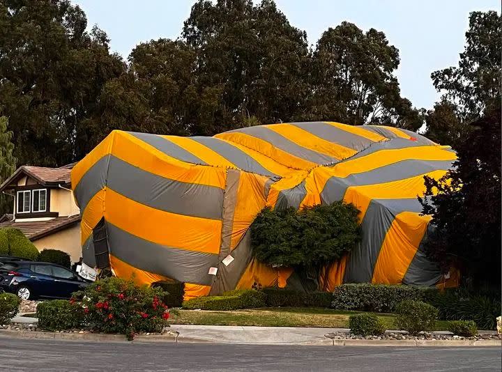 美國出現一幅巨大帳篷包住整棟房子的景象，旅美作家鱸魚透露，這可是一家人最痛苦的時刻！（圖／翻攝鱸魚粉專）