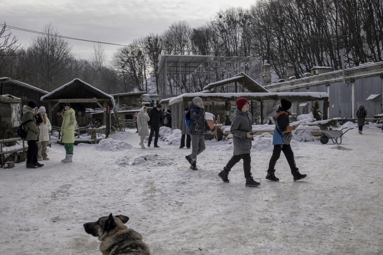 Lina Brithna con Bonie, un perro que sobrevivió a los bombardeos que le rompieron la columna vertebral, por lo que tiene una barra de acero en la espalda, en el refugio de animales Domivka en Leópolis, Ucrania, el 11 de febrero de 2023. (Maciek Nabrdalik/The New York Times).