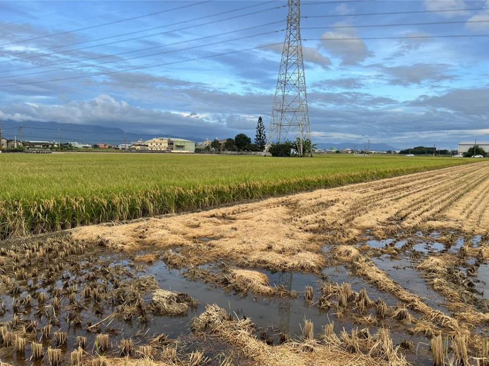 雲林縣府比照屏東縣畫設農一、農二方法，私有地全數畫為農二，雲林縣的農二面積從2萬6614公頃變成8萬1611公頃，農一從6萬0834公頃銳減為5836公頃。（周麗蘭攝）