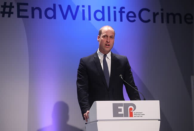 prince-william-wildlife