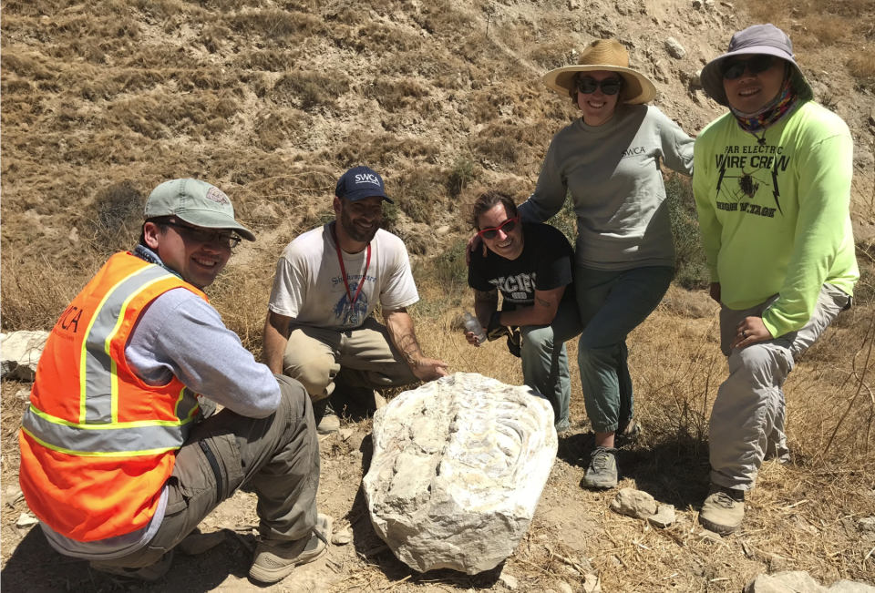 Experts pose with the 600-pound stone block encasing a torso fossil, found in July in Simi Valley. They believe the fossil is about 15 million years old. From left: Austin Xu, Russell Shapiro, Win McLaughlin, Maisie Borg and Sunny Lee.