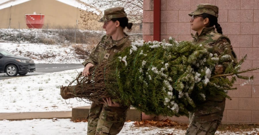 Soldiers with the Pennsylvania Army National Guard’s 228th Motor Transportation Battalion gather Christmas trees from supporting farms across central Pennsylvania and transport them to a centralized location for easy distribution to veterans and Pennsylvania National Guard service members as part of the PA Trees 4 PA Heroes program. (Courtesy Photo by Wayne Hall)