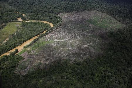 An aerial view of a plot of deforested Amazon rainforest near the city of Uruara, Para state April 22, 2013. REUTERS/Nacho Doce