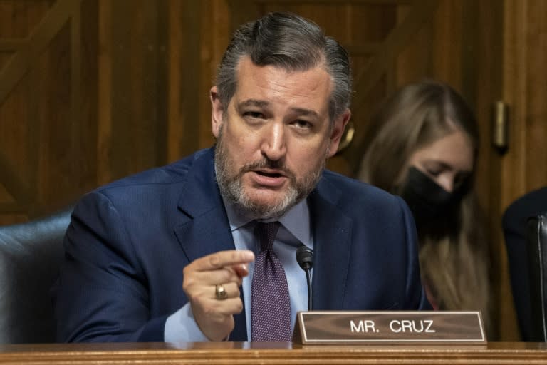 US-Senator Ted Cruz (AFP/Ken Cedeno)