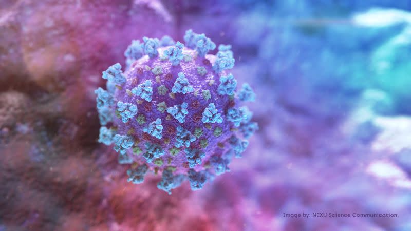 A computer image created by Nexu Science Communication together with Trinity College in Dublin, shows a model structurally representative of a betacoronavirus which is the type of virus linked to COVID-19