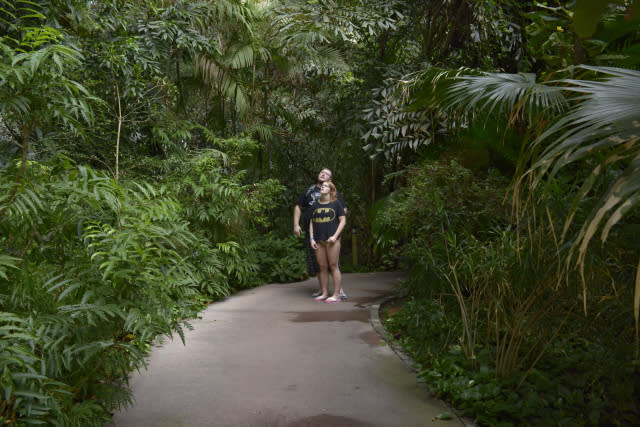 Tropical Islands is also home to flamingos, macaws, peacocks and pheasants.