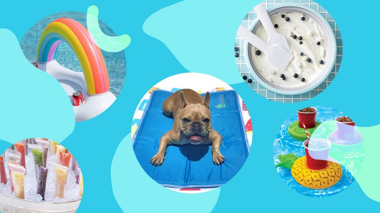 pool float, ice cream maker, popsicle molds, dog cooling mat