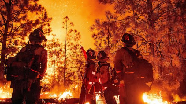 PHOTO: FILE - CalFire Placer Crew firefighters monitor a backfire during the Mosquito fire in Foresthill, an unincorporated area of Placer County, Calif., Sept. 14, 2022. (Josh Edelson/AFP via Getty Images, FILE)