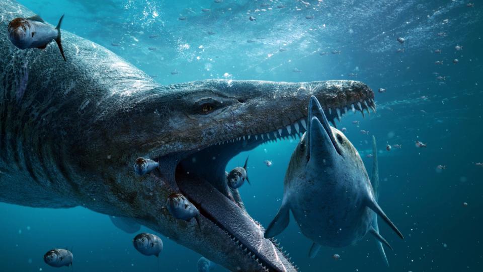 A pliosaur, with jaws open, is about to attack an ichthyosaur in the ocean as small fish swimming close by in a scene from "Attenborough and Jurassic Sea Monster."