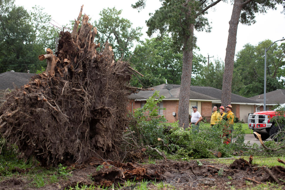 Houston Fire Department Wildland District 14 crews asses a downed tree blocking a street after a severe storm caused widespread damage in Spring Branch, Texas, U.S., May 17, 2024.   REUTERS/Kaylee Greenlee Beal