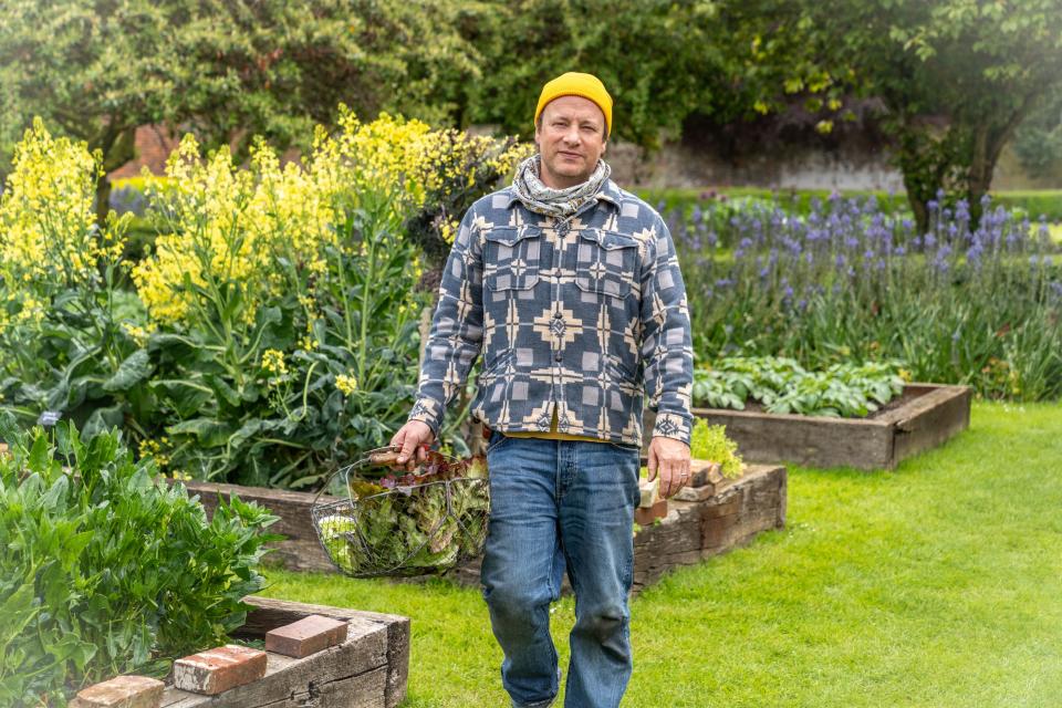 Pictured: Jamie Oliver  in his garden with a basket of greens in hand.