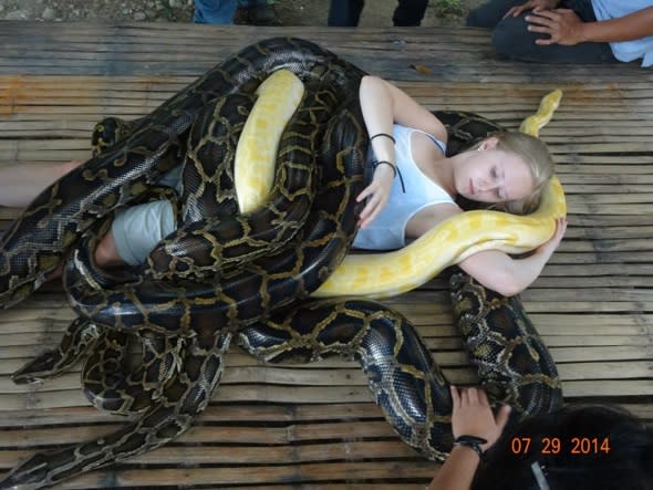 Introducing the zoo offering snake massages