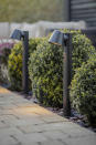 <p> Add some drama to straight or curved garden paths with a line of outdoor lighting – these ones will look good both day and night. Made from powder-coated steel their tall, slender design and smooth carbon finish blend effortlessly with simple, clipped box hedging. </p> <p> When switched on, the neatly concealed lamps shine pools of light down on to the paving, safely guiding the way and adding an inviting touch too. Mains powered, these lights will need installing by a qualified electrician. </p>