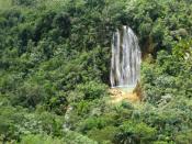 Versteckt im Urwald: Der Weg zum «Salto el Limón» ist heiß und feucht, doch vor Ort wartet ein erfrischender See. Foto: Tourist Board der Dominikanischen Republik