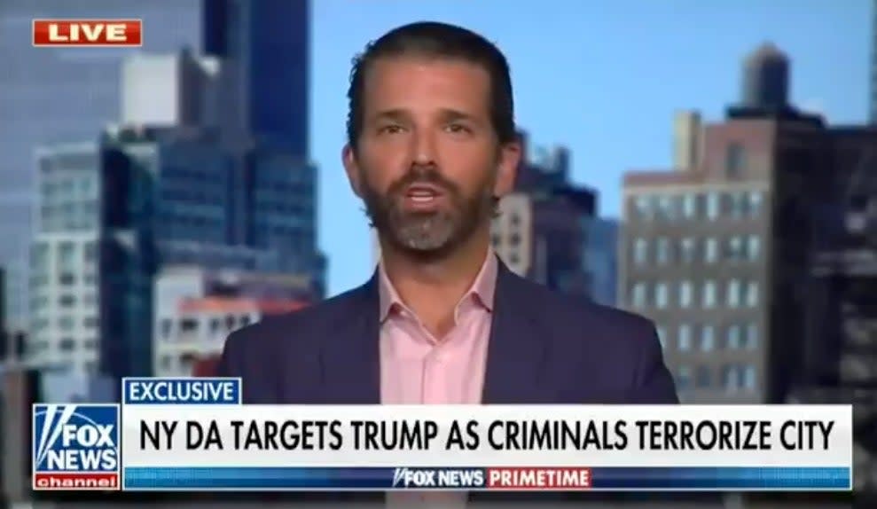 Don Jr compares Trump Organization charges to Putin persecution of Navalny (Fox News)