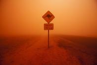 <p>A lone kangaroo crossing sign stands amid a dust storm, which fills the air with an orange hue.</p>