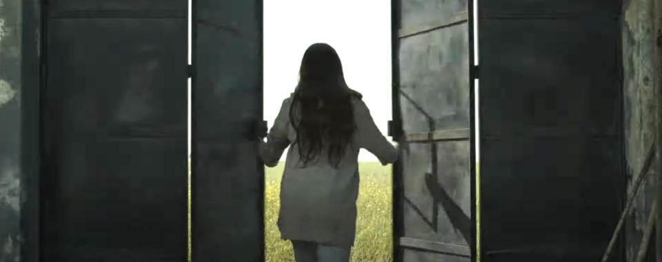 A person with long hair and a coat stands at an open gate, looking out at a bright field in the distance