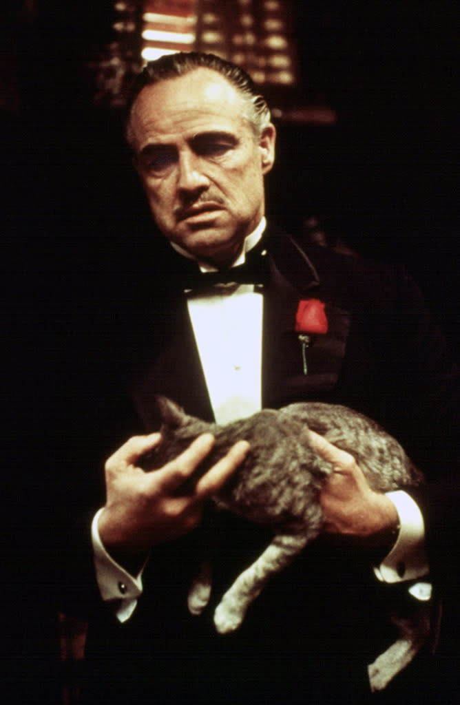 Vito’s cat, 'The Godfather’ (1972)